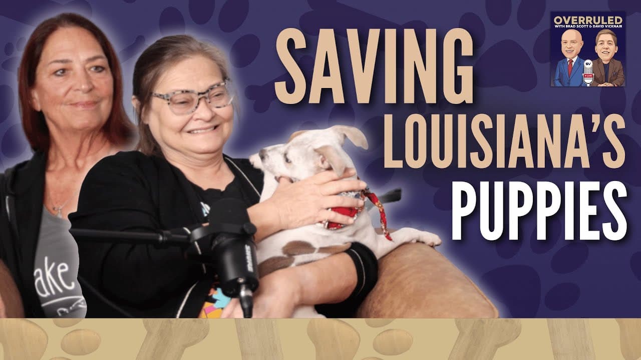 Ep. 76: Behind the Scenes at Take Paws Rescue with Julie Frank & Vicki Johnson-Cain